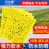 力仕康粘虫板黄板诱虫板20张苍蝇贴灭蚊小飞虫诱捕神器果蝇飞蛾大棚家用