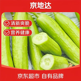 京地达山东奶油白玉水果黄瓜净重4.5斤单果50g+清新脆嫩源头直发包邮