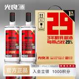 光良【中秋节大容量】数据瓶29 浓香型白酒 42度 1000ml 两瓶加量装