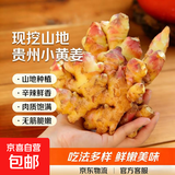 贵州高山小黄姜嫩姜鲜姜醋泡姜红芽姜当季蔬菜先挖非云南黄姜批发 净重2斤 1000g