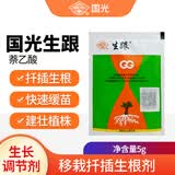 国光生跟20%萘乙酸多肉月季苗木果树扦插移栽生根粉植物生长调节剂