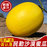 粤迎甘肃民勤蜜瓜【闪送-源头直发】沙漠甜瓜黄金蜜瓜现摘新鲜水果箱 6斤优选果【1-3个瓜】净5-6斤