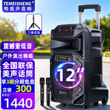 特美声SL15-31户外舞台大功率广场舞音响移动便携式拉杆商用会议音箱无线蓝牙大音量K歌扩音双话筒麦克风 12寸标配+2支无线话筒+支架
