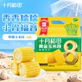 十月稻田 黄糯6cm玉米段 8段 共1.6斤 东北杂粮粗粮 低脂早餐 火锅食材