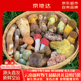 京地达云南新鲜纯野生菌基础版组合净重1000g礼盒装野生菌菇源头直发