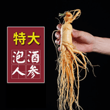 半山农新鲜人参1支约40克 东北特产长白山人参泡酒药材长辈送长辈滋补品
