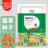 寿禾 猫草种子苗土培水培猫零食草籽 潍育中寿猫草(小麦草)种子1050g