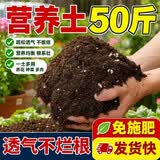 思威博营养土种菜土花土通用型有机种花养花土壤种植土泥土绿植盆栽泥炭 200斤营养土【养根促花】（4包50斤分开发货）