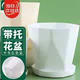 寿禾 花盆带托盘塑料盆家庭园艺花卉种植 木里盆中号-白色*1