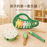 可来赛（Classic world）儿童音乐启蒙益智玩具1-3-6岁宝宝手拍鼓敲琴笛子套装生日礼物