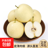【正宗河北皇冠梨】薄皮新鲜脆甜非雪花梨香梨秋月梨一整箱 河北皇冠梨1斤装【精选大果】