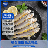 鲜到鲜得 冷冻海捕小黄鱼450g 黄花鱼 深海鱼 生鲜鱼类 烧烤食材 中秋海鲜