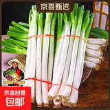 山东大葱新鲜9斤装甜葱铁杆大葱非章丘长白毛葱蘸酱嫩葱批发便宜 山东铁杆大葱-带脏皮去半叶【带箱9斤净重8.5斤装】