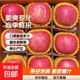 正宗红富士丑苹果脆爽多汁应季红富士苹果新鲜苹果多仓混发 整箱9斤净重8斤A+级中果【果径75-80】