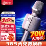权盟 炫声麦旗舰话筒音响一体麦克风无线蓝牙家用全民电视k歌神器车载唱歌手机直播录音声卡设备套装 【性价比推荐】标准版升级新款（无U段）