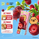 蒙牛真果粒牛奶饮品东魁杨梅味含乳饮料250g×12盒 卡皮巴拉定制装