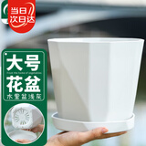 寿禾 花盆大号带托盘树脂塑料绿植种植盆 木里盆大号-浅灰