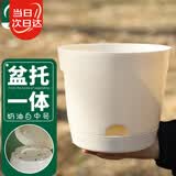 寿禾 花盆家庭阳台花卉加厚种植盆带托 潍育奶油白花盆中号17.5#
