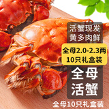 【活蟹】乾澄大闸蟹现货 全母蟹2.0-2.3两 10只 去绳足重鲜活六月黄螃蟹海鲜礼盒装