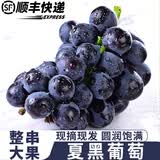京愿【顺丰速运】山西夏黑葡萄蓝莓葡萄提子脆甜无籽巨峰孕妇新鲜水果 净重3斤优选装