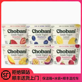 Chobani醇倍尼澳洲进口空运希腊风味酸奶 原味香草芒果蓝莓味发酵乳酸奶  圆盒6盒希腊式酸奶新老随机
