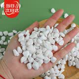 寿禾 白石子小石头多肉盆栽鱼缸造景绿植装饰 6-9mm白卵石500g