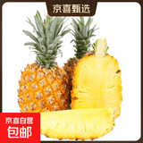 广东徐闻菠萝新鲜水果生鲜湛江香水菠萝金菠萝超甜 净重4.5-5斤 单果650g起