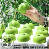梨园颐珍正宗砀山梨 新鲜青脆蜜梨子皇冠梨脆甜无渣多汁爽口当季头茬现摘 国家地理标志授权认证产品 净重4.5斤左右（中大果）