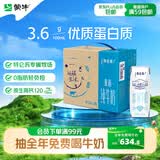 蒙牛特仑苏脱脂纯牛奶250ml*16盒 健身减脂 送礼优选礼盒装