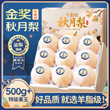 山姆大叔 山东莱阳新鲜秋月梨【顺丰/普快-多地次日达】冰糖梨子水果礼盒 【精品果】单果300-400g｜超甜 10斤装【蕞划算-全家分享】净9