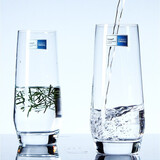 B.ROBSCHOTT德国肖特圣维莎进口无铅水晶耐热家用水杯耐热玻璃杯果汁杯 【德国进口】肖特菱形542ml