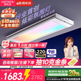 好太太（Hotata）光影电动晾衣架智能隐形超薄阳台离线语音升降晾衣杆T30Pro-ZL