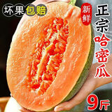 正宗海南哈密瓜9斤网纹瓜新鲜当季水果香瓜西州蜜瓜非新疆哈密瓜r 3斤整箱