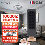得康氧 进口得康氧teqair200除菌无耗材空气净化器 【法国大使馆推荐】负离子发生器负氧离子机除甲醛 老人房健康可用（黑色）
