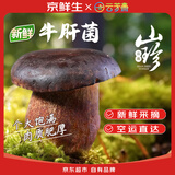 京鲜生云南【新鲜黑牛肝】净重1斤特产鲜菌菇煲汤火锅食材源头直发