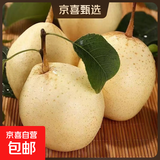 京喜加赵州水晶鸭梨新鲜水果产地直发【一】单果180g 鸭梨2粒尝鲜小果