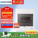 正泰强电箱配电箱明装6回路NEX5-C10600M