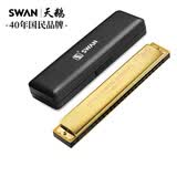 天鹅（SWAN）口琴24孔复音C调音位标注乐器学生成人专业演奏口琴金色