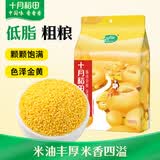 十月稻田 黄小米 2斤（小米粥 五谷杂粮 小黄米 米饭伴侣 粥米)