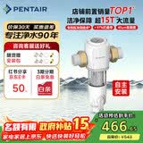 滨特尔（pentair）前置过滤器大通量家用全屋自来水管道过滤器大流量净水器排行前十名水驱涡轮+反冲洗刮洗净水器 【自主安装】S160大通量