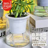 寿禾 懒人盆自吸盆双层透明室内桌面植物盆 透明懒人盆x2个装