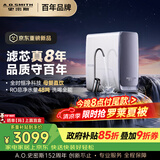 史密斯（A.O.SMITH）佳尼特【26年新品】蓝鲸1000G家用净水器厨房专用台下净水机直饮一体机8年RO膜 CR2500AE3