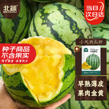 北蔬小凤西瓜种子苗礼品型黄肉超甜水果种籽 小凤西瓜种子10粒*2袋