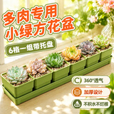 芷郁多肉专用花盆创意小绿方组合树脂加厚控根透气塑料植物种植盆 6格