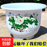 加厚耐用塑料树脂花盆仿陶瓷花盆各种花卉绿植可用花盆 380号【口径33高25厘米】2个盆 白牡丹+托盘