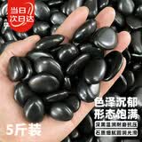 寿禾黑色鹅卵石造景原因庭院铺路脚踩垫石子 黑色鹅卵石0.9-1.8cm5斤