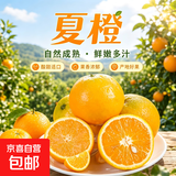 纽荷尔脐橙夏橙新鲜采摘水果 【鲜甜多汁】带箱2斤 小果65mm+普箱