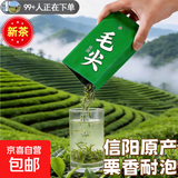 毛尖茶绿茶信阳毛尖2026新茶春茶自产自销散装炒青自己喝的茶叶 【万人购买】试喝1小包3g