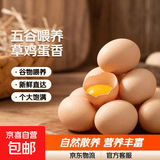 【山东大码蛋50g±5g】正宗草鸡蛋谷物鲜鸡蛋柴鸡蛋五谷杂粮喂养 10枚