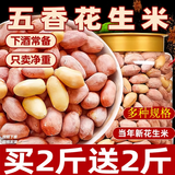 植宴 正宗山东2026年新花生米五香蒜香下酒菜零食商用价 (1罐)蒜香花生米(共500克)